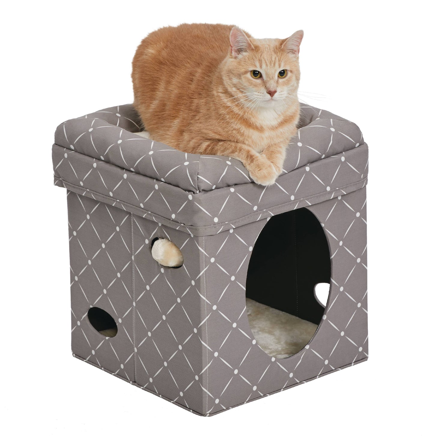Curious Cat Cube, Foldable Cat Cube for at Home or Traveling Play Mushroom