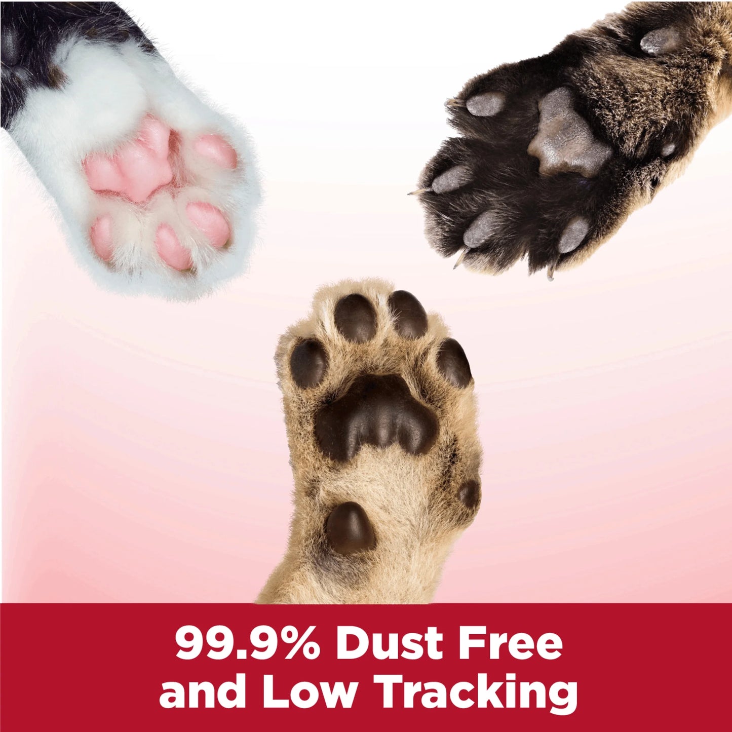 (3 Pack) Clump & Seal Cat Litter Multi-Cat Complete Odor Sealing Clay Clumping Cat Litter, 38 Lb