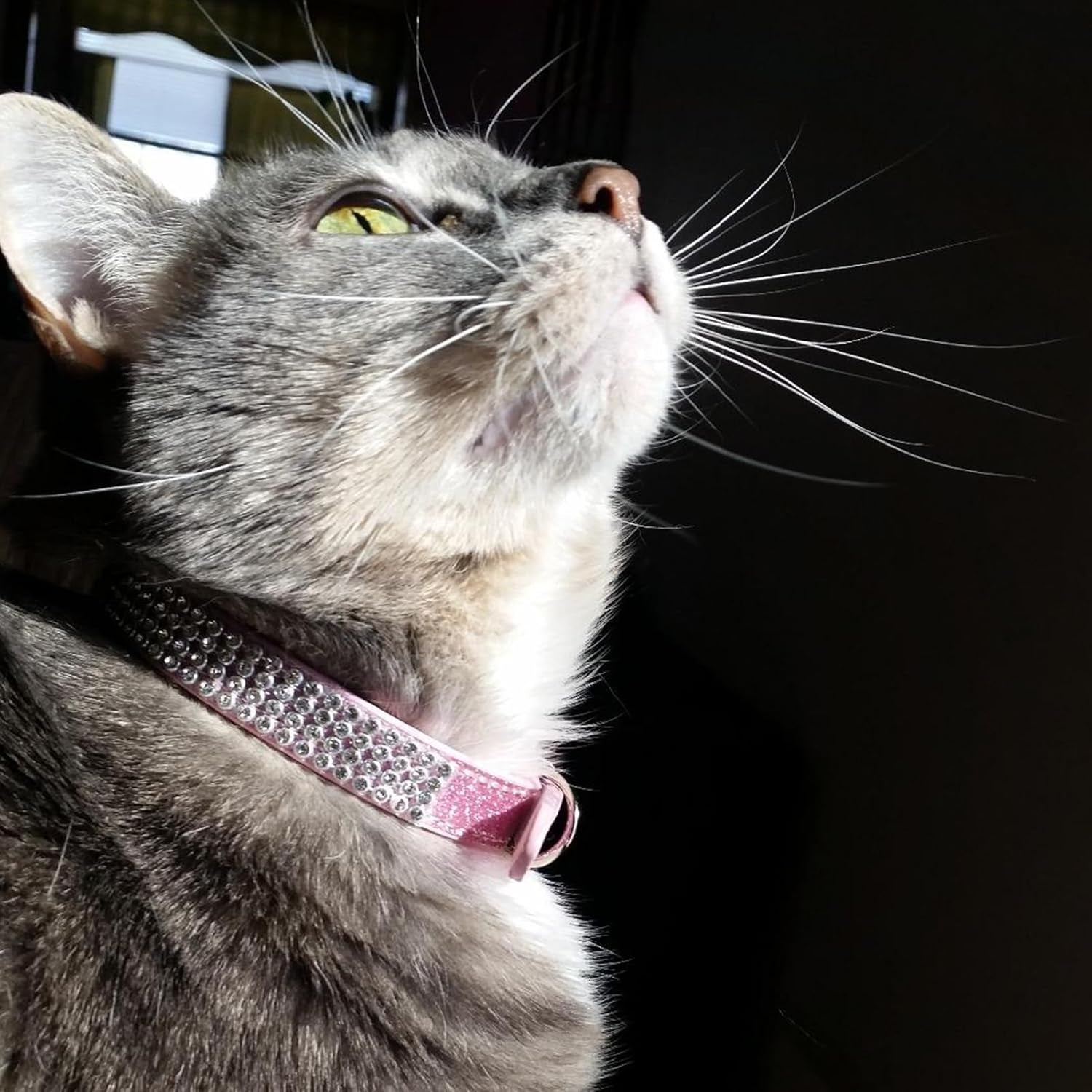 Basic Adjustable Cat Collar with Bling Diamond and Double Bells, for Kitten and Small Puppy, Fashion and Shining Dog Rhinestone Collars, 8-10 In, Pink