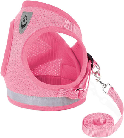 Cat Harnesses and Puppy Harness with Leashes Set, Escape Proof Cat Harness, Adjustable Reflective Soft Mesh Vest Fit Puppy Kitten Rabbit Ferrets'S Outdoor Harness