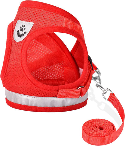 Cat Harnesses and Puppy Harness with Leashes Set, Escape Proof Cat Harness, Adjustable Reflective Soft Mesh Vest Fit Puppy Kitten Rabbit Ferrets'S Outdoor Harness
