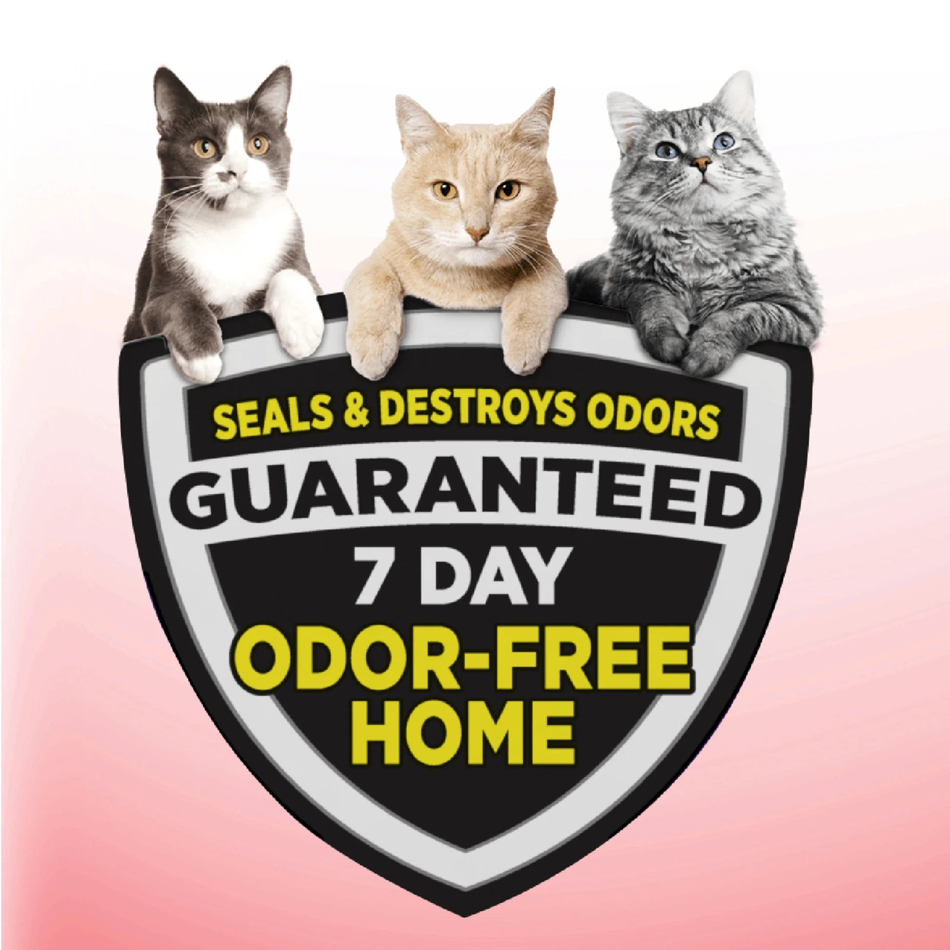 (3 Pack)  Clump & Seal Cat Litter Multi-Cat Complete Odor Sealing Clay Clumping Cat Litter, 38 Lb