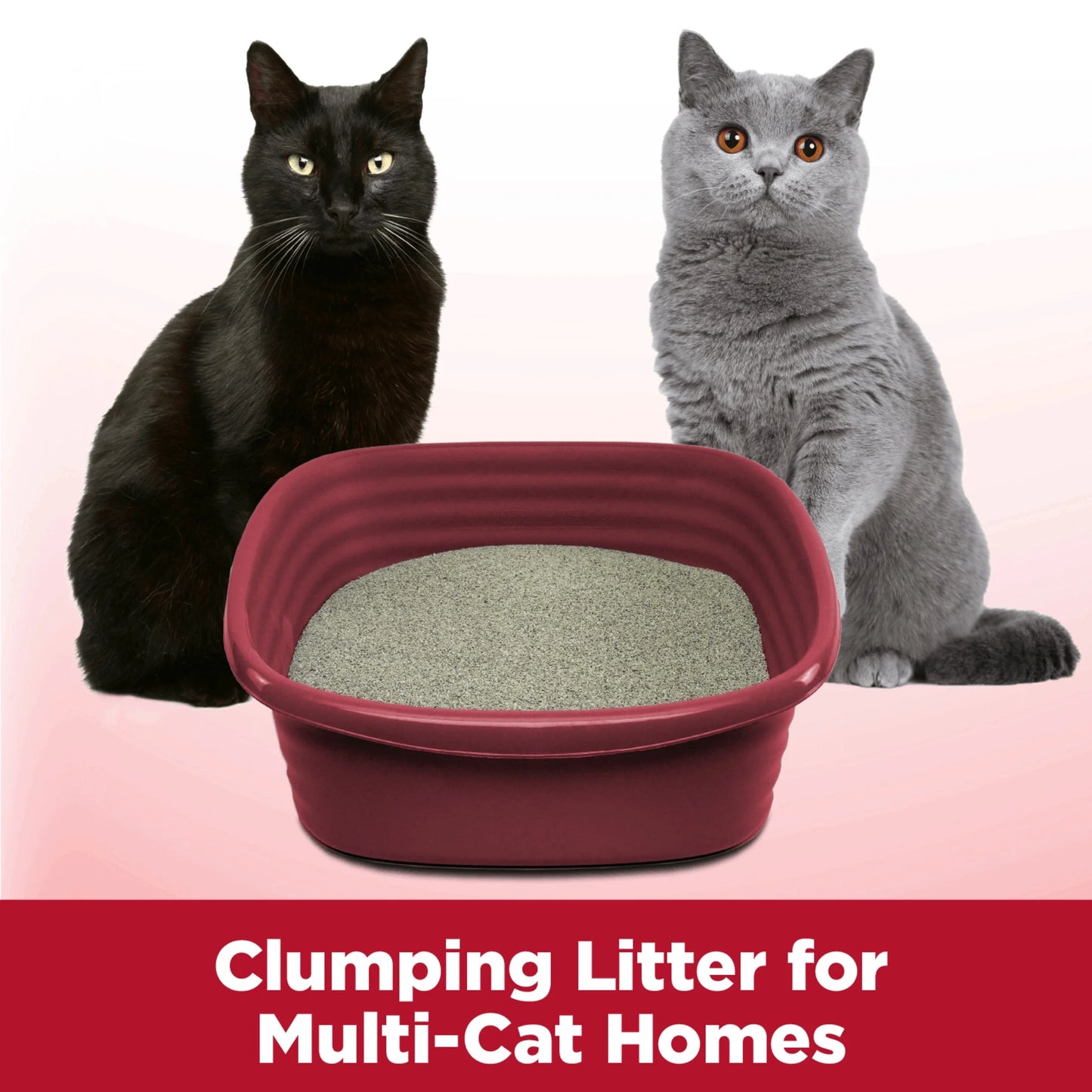 (3 Pack)  Clump & Seal Cat Litter Multi-Cat Complete Odor Sealing Clay Clumping Cat Litter, 38 Lb