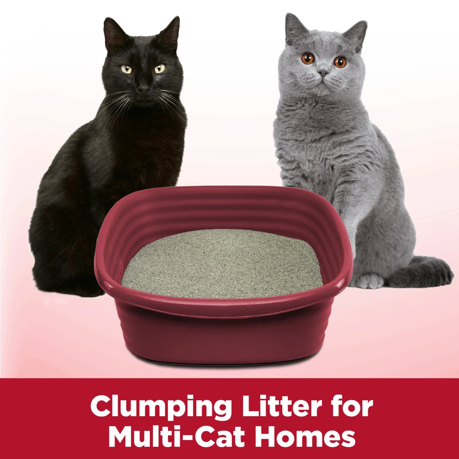 (3 Pack)  Clump & Seal Cat Litter Multi-Cat Complete Odor Sealing Clay Clumping Cat Litter, 38 Lb